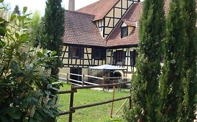 Maison de vacances Alsace - Ferienhaus Elsaß - Holiday house Alsace